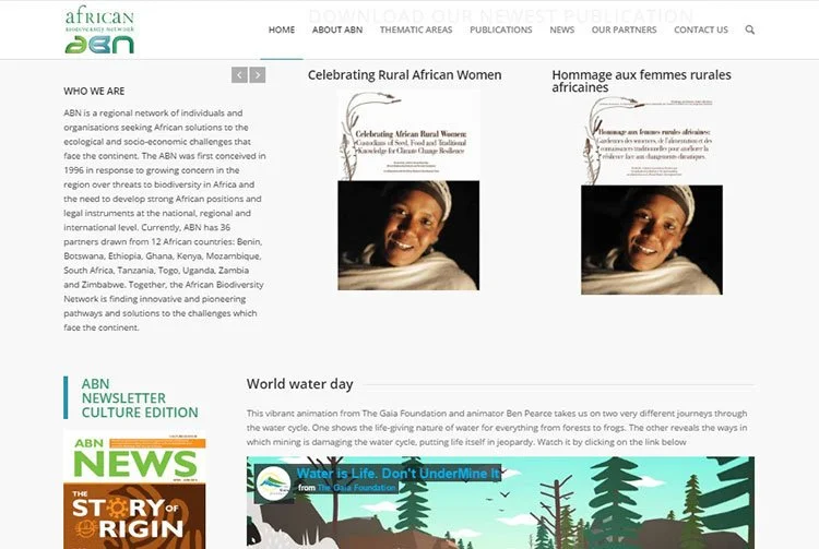Best Web design companies in Kenya